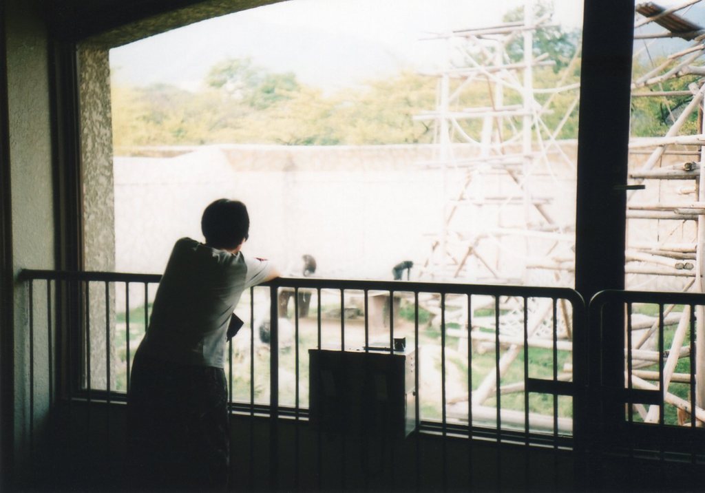 神戸王子動物園５