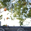 赤穂・大石神社