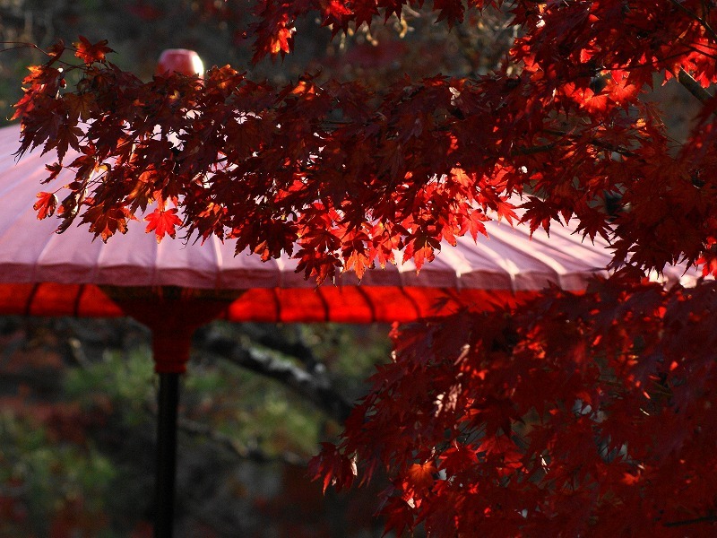 紅葉