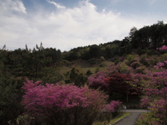 山が染まる