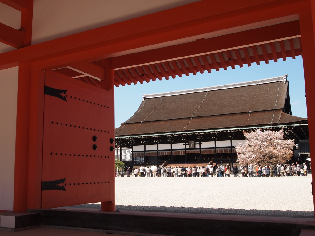紫宸殿と左近の桜