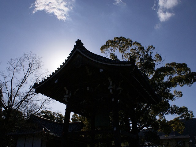 光