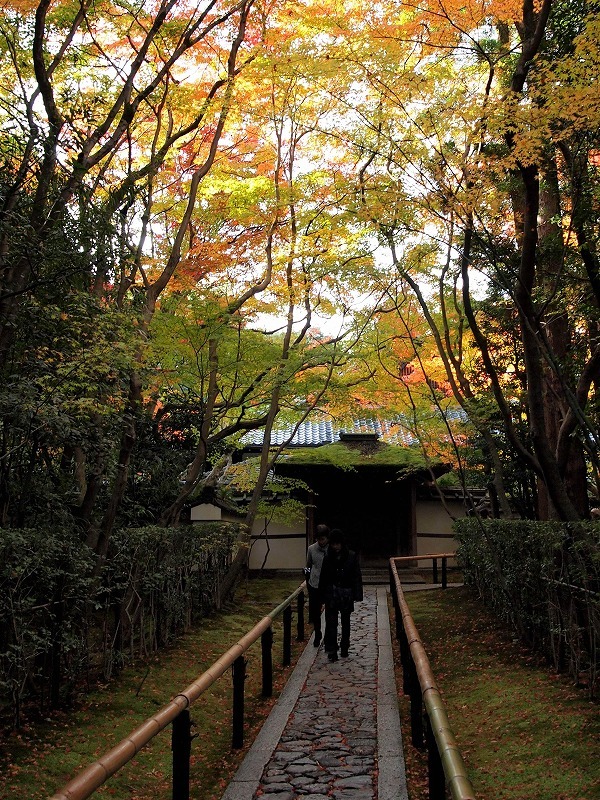 大徳寺高桐院