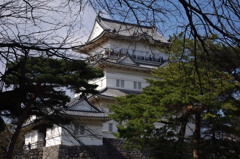 北条家Ⅰ