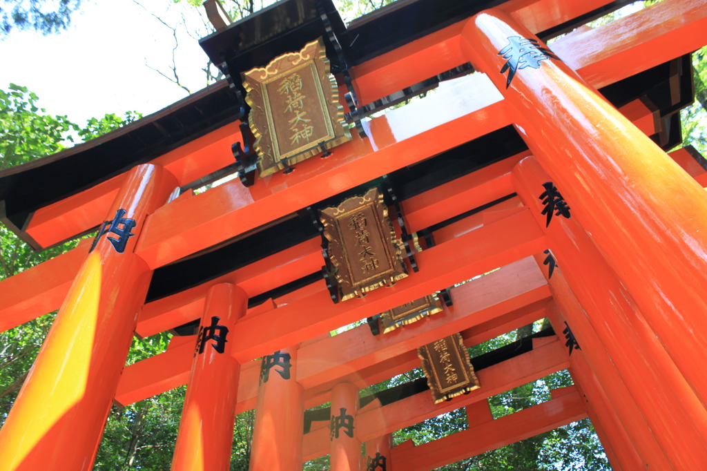 どこまでも。