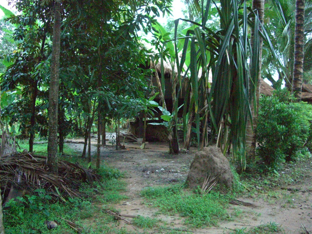CIMG0061