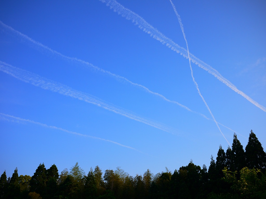 飛行機雲