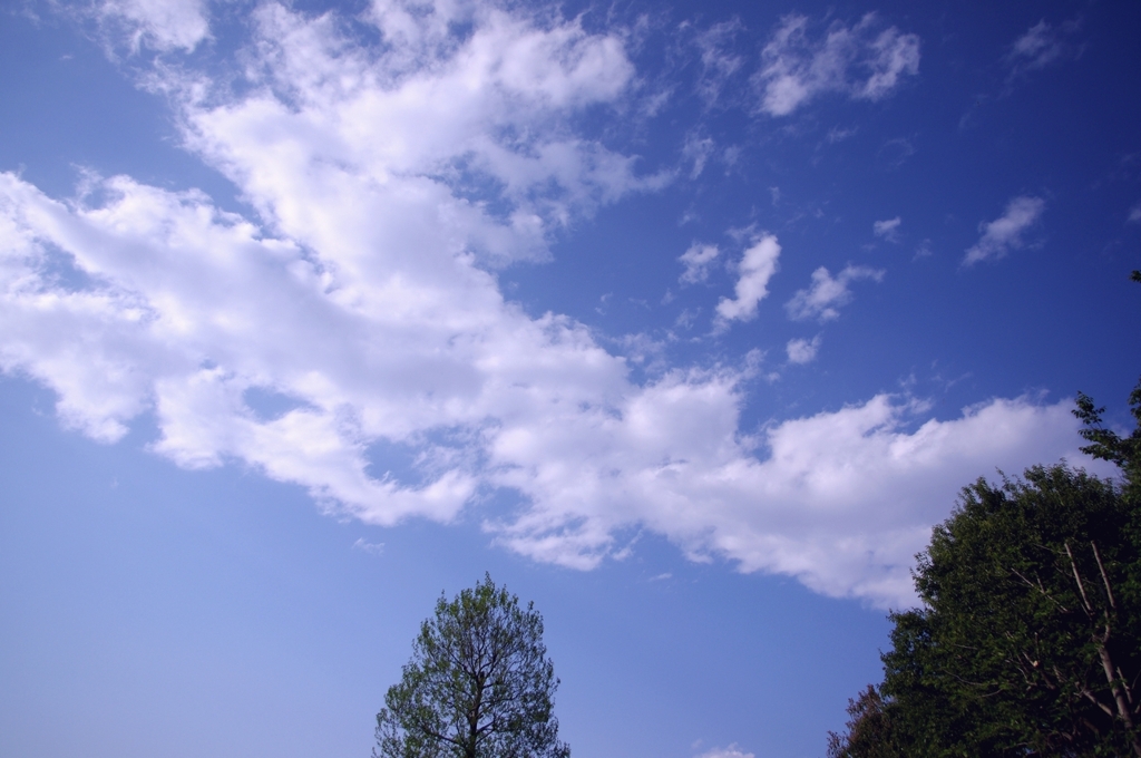 青空