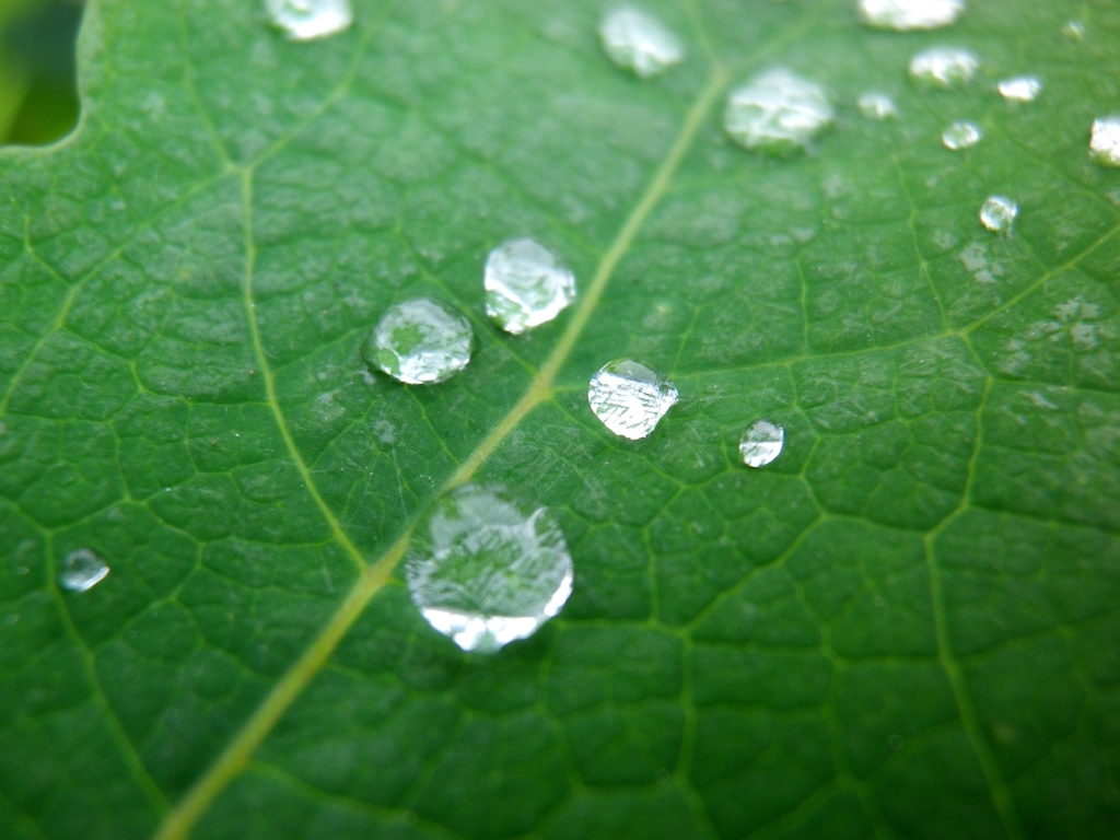 雨上がり