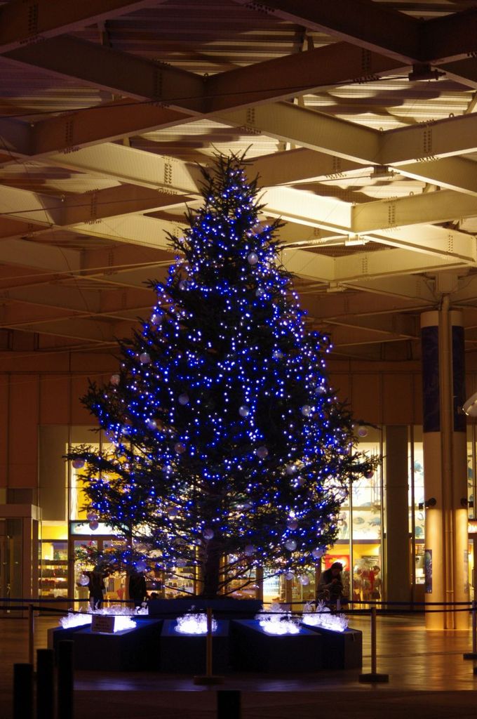 クリスマスツリー