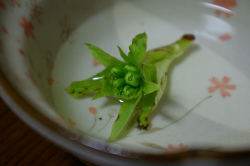 ふきのとう