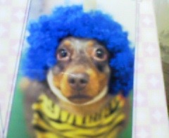 bob