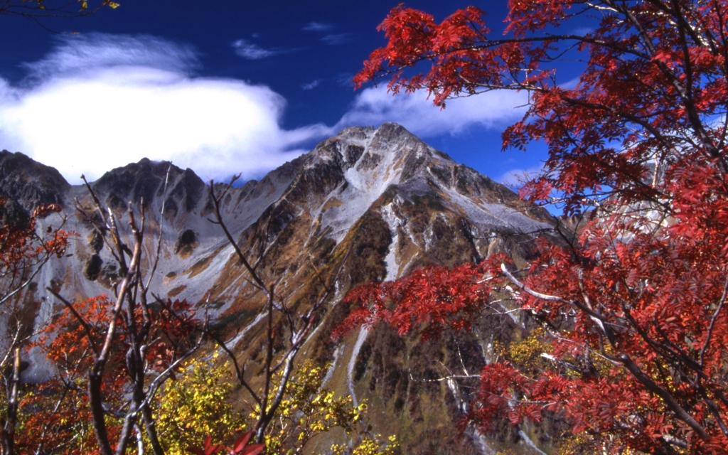 穂高の紅葉