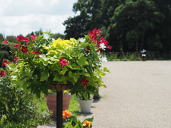 猛暑のアンデルセン公園