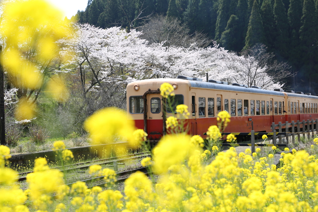 小湊鉄道