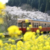 小湊鉄道