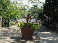 猛暑のアンデルセン公園