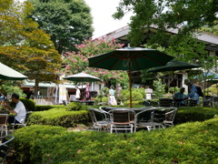 澤乃井園