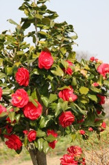 構図がわからない2