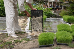 田植えの準備　6（機械植え）