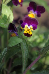 ちょっと１枚・・・・・(-_-;)