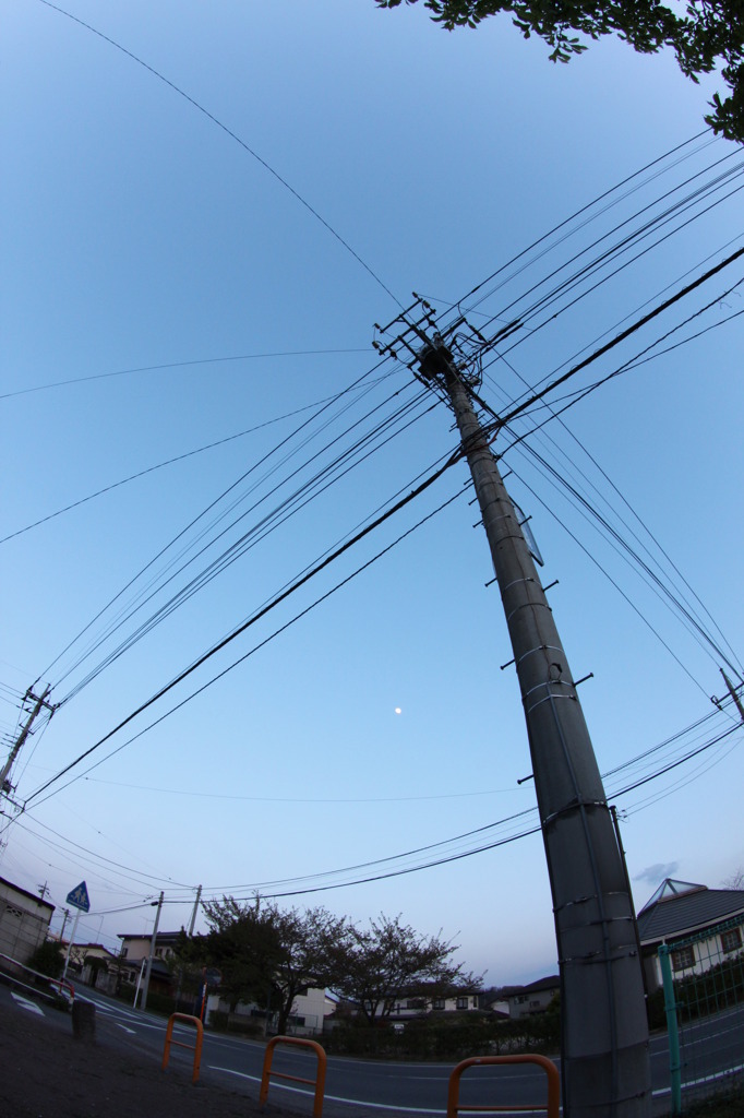 電柱の下から空を