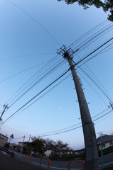 電柱の下から空を