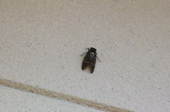 そこで何してるの？
