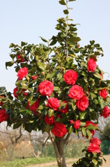 構図がわからない3