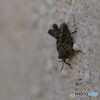 ひなたぼっこ？
