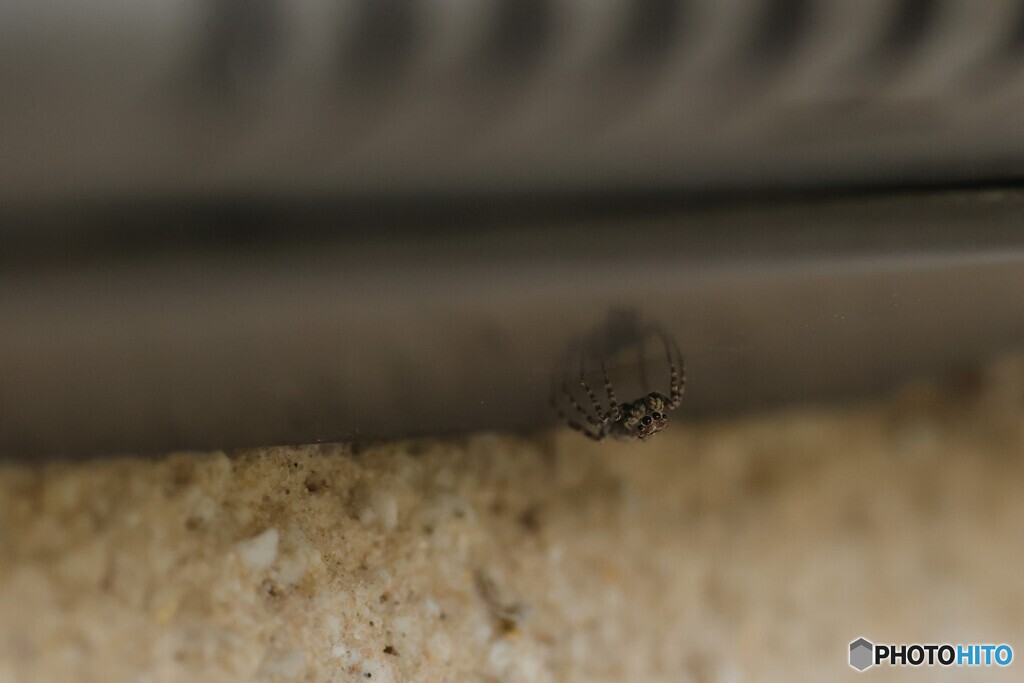 インターホンの下で①