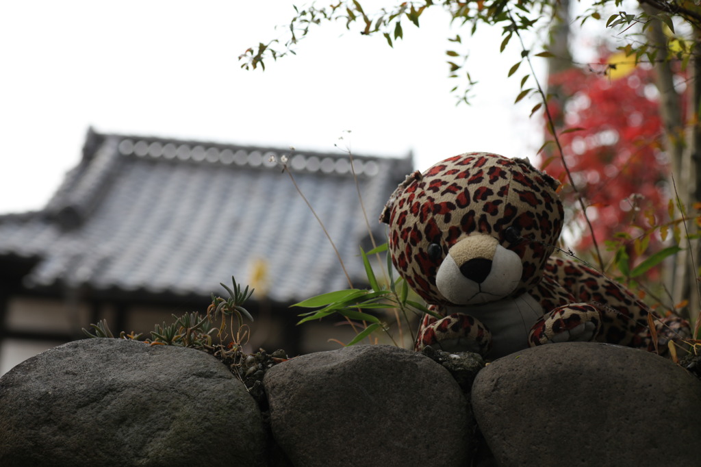 一瞬、ドキッ
