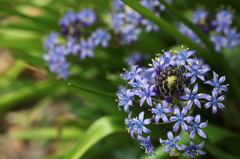 惑星がいっぱい