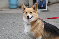笑顔なの？