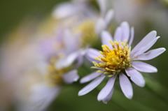 どうなんでしょうか？