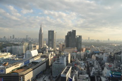 新宿エルタワーからの眺め