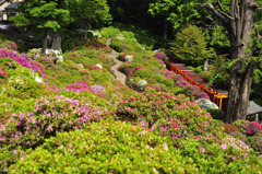 根津神社1