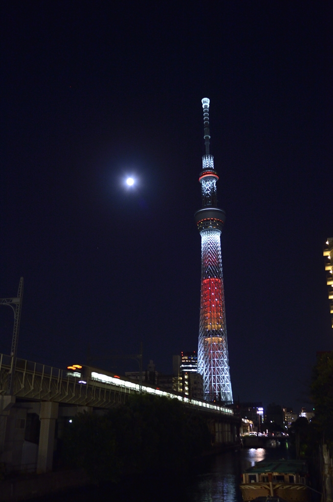 満月とツリー