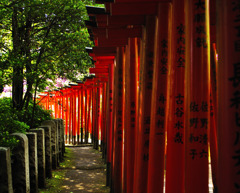 根津神社3