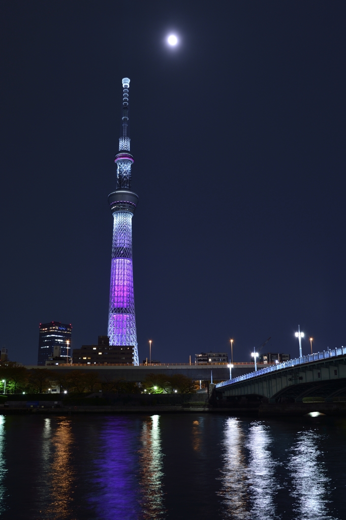 桜色