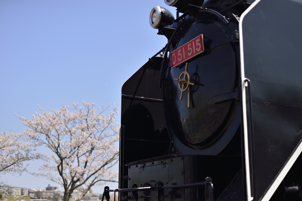 桜とD51