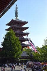 浅草寺と鯉のぼり