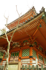 三瀧寺　1