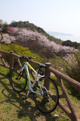 春風