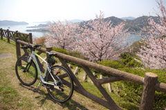 春