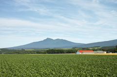斜里岳