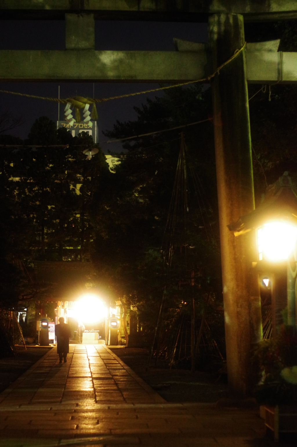 夜の参拝