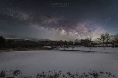 冬と春の狭間に