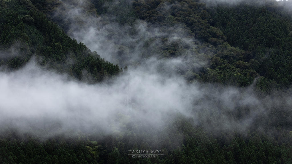 雲