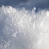 白雪の精達